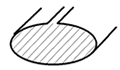 Z13png